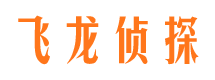 叶县寻人公司